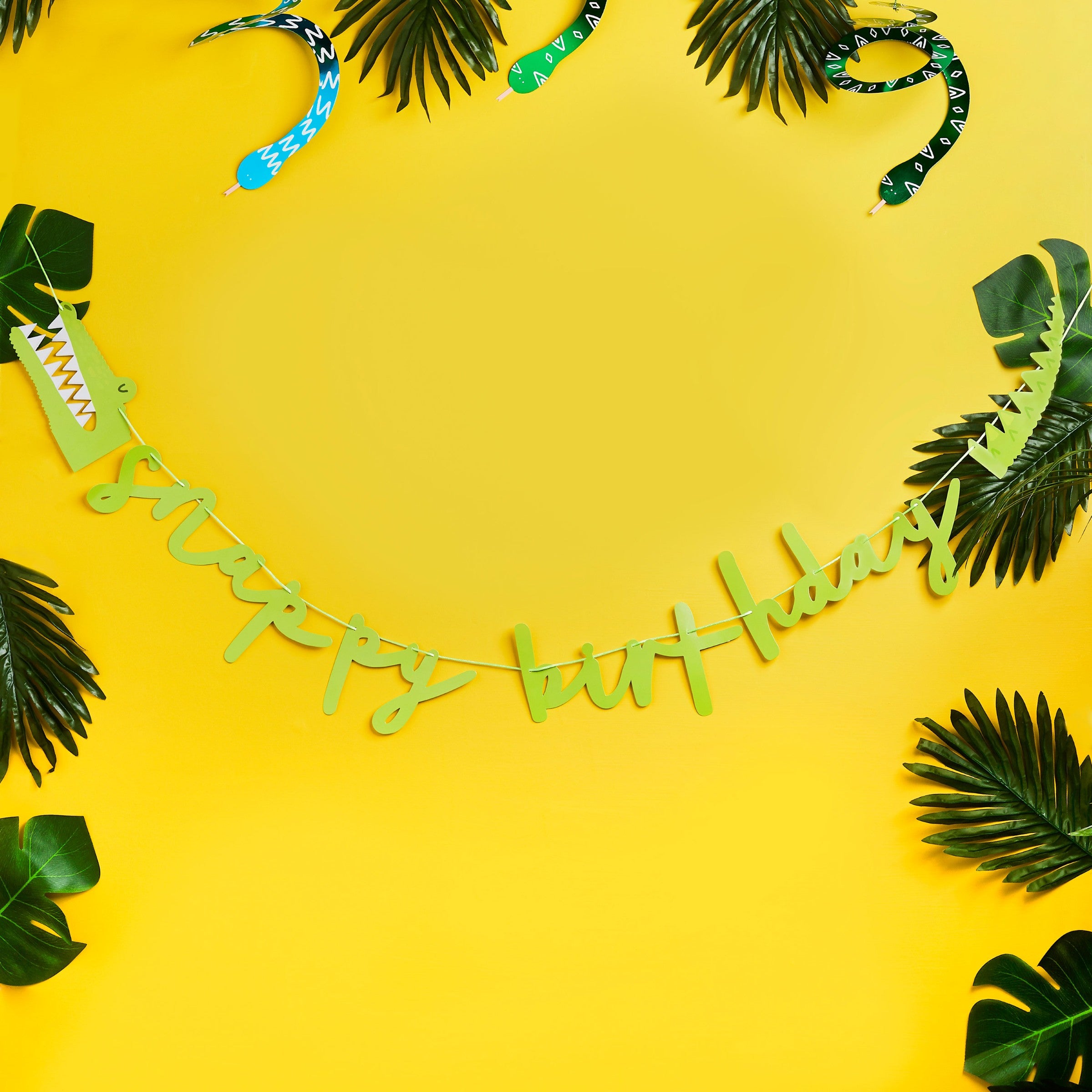 Girlander «Snappy Birthday» Grønn 2 m – stemningsbilde fra fest