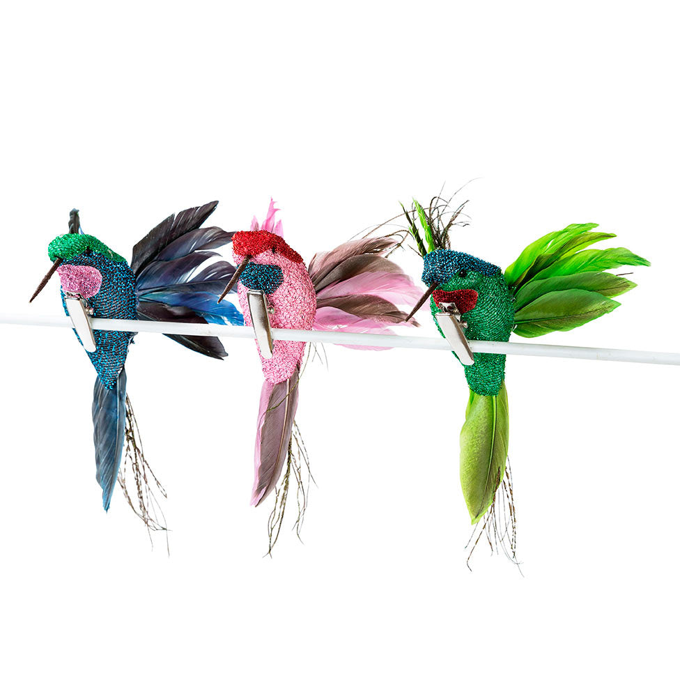 Tropical Fiesta Clip-on Kolibri