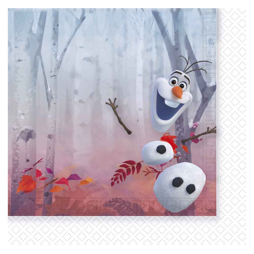 Frost 2 Servietter 20 stk.