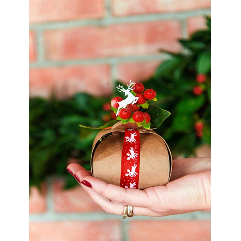 Bokser I Kraftpapir 10 stk.