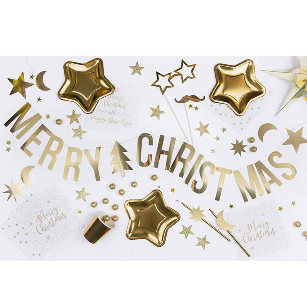 Banner Merry Christmas Gull