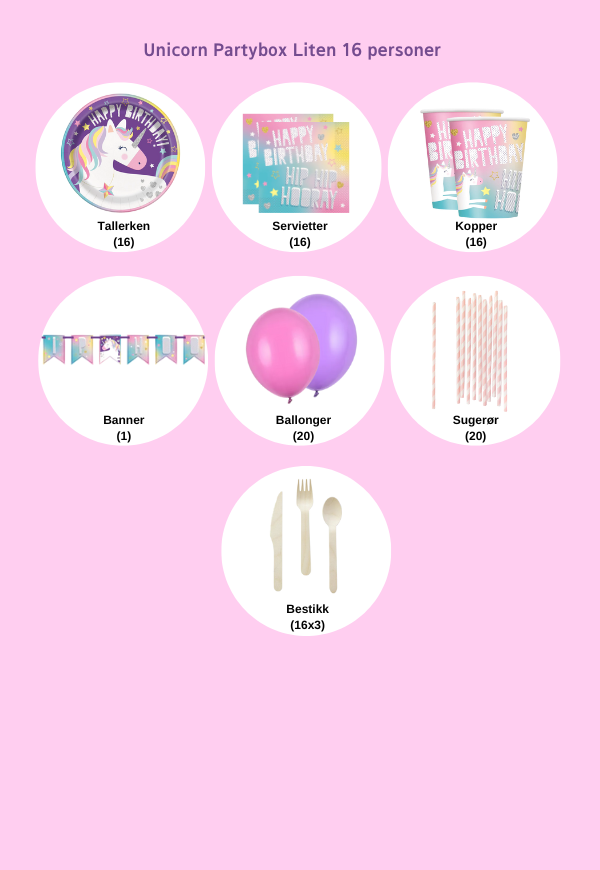 Unicorn Dream Partybox