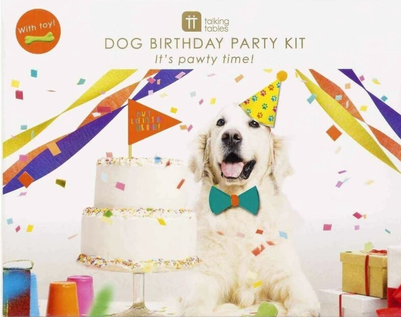 Hundebursdag Party Box