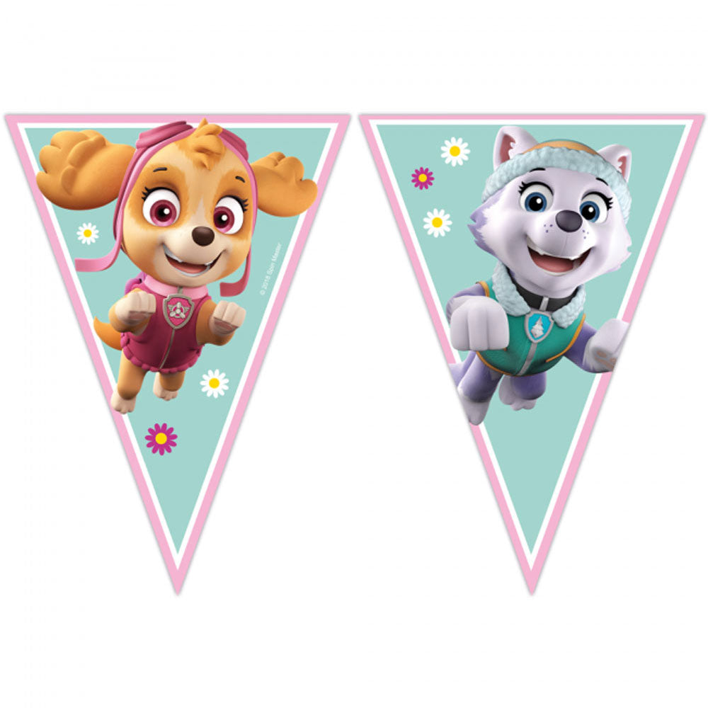 Paw Patrol Skye & Everest Vimpelbanner