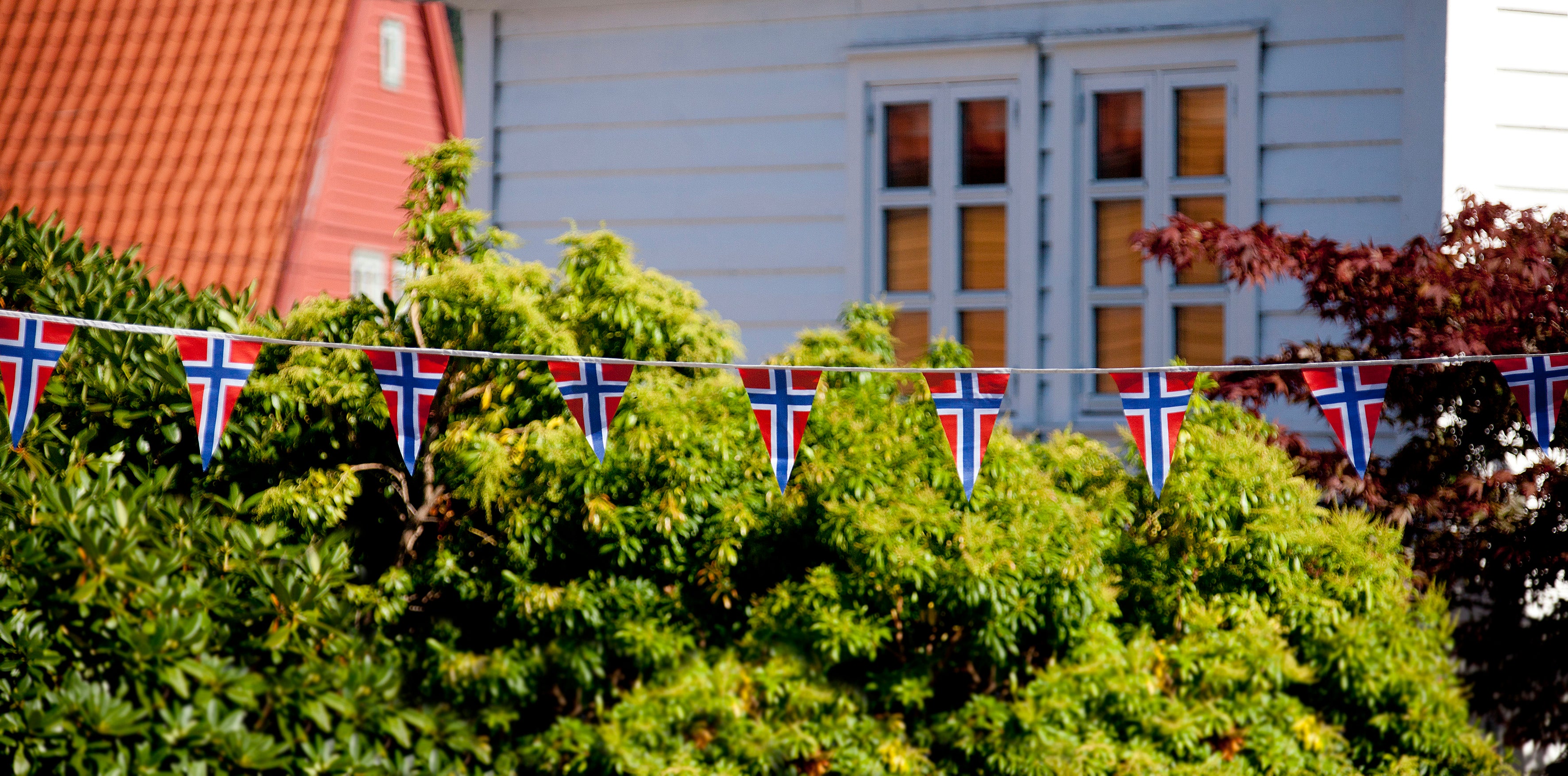 Vimpelgirlander Norsk Flagg